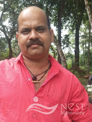 SATISH NAIR
